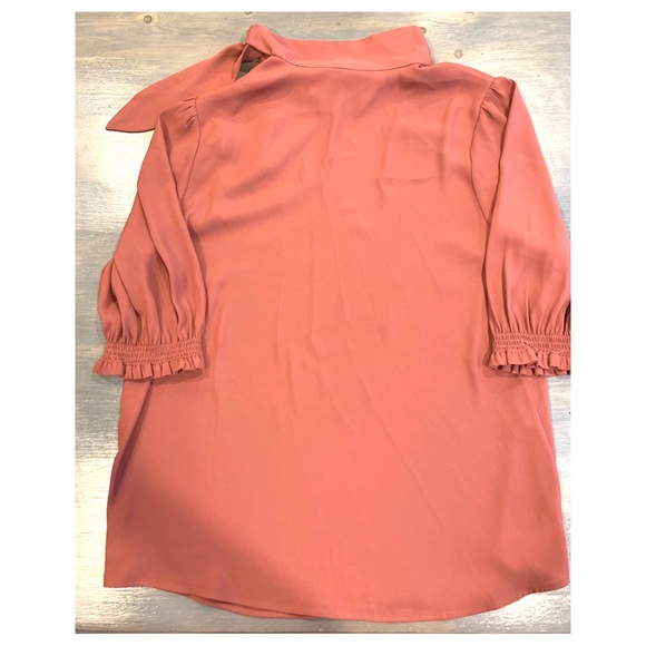 Pink blouse - Picture 6 of 7